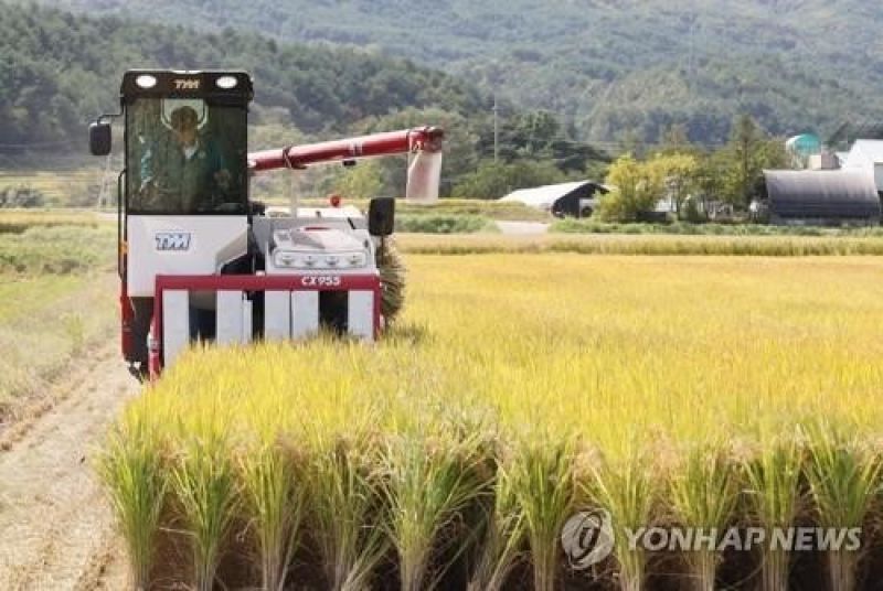 S. Korea&#039;s rice consumption hits another low in 2023